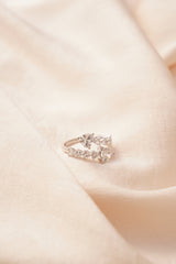 Celestial Heart